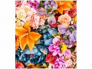 Flis foto tapeta Osušeno cvijeće MS30143 | 225x250 cm Od flisa