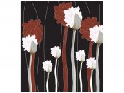 Flis foto tapeta Cvijeće na crnoj pozadini MS30155 | 225x250 cm Od flisa