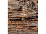 Flis foto tapeta Kora stabla MS30159 | 225x250 cm Od flisa