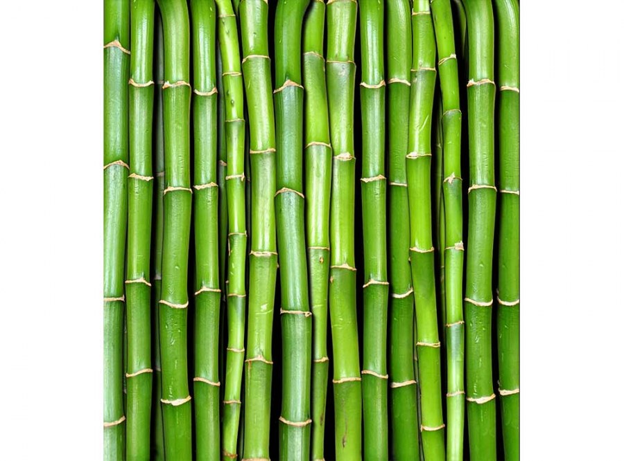 Flis foto tapeta Bambus MS30165 | 225x250 cm - Od flisa