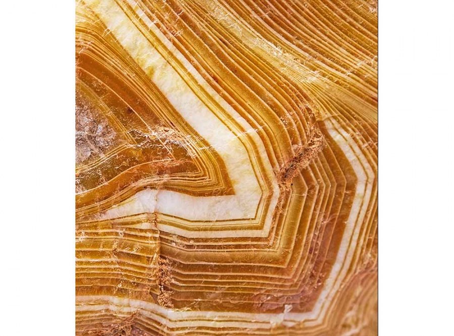 Flis foto tapeta Ahat MS30180 | 225x250 cm - Od flisa