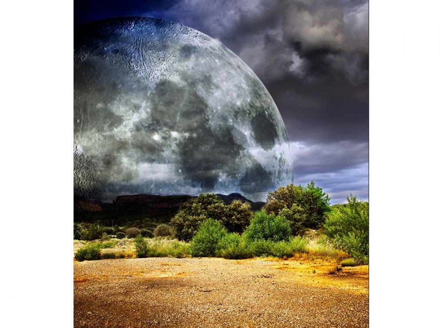 Flis foto tapeta Mjesec MS30185 | 225x250 cm - Od flisa