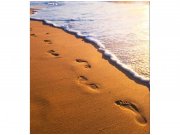 Flis foto tapeta Tragovi na plaži MS30193 | 225x250 cm Od flisa