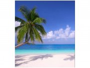Flis foto tapeta Plaža sa palmama MS30194 | 225x250 cm Od flisa
