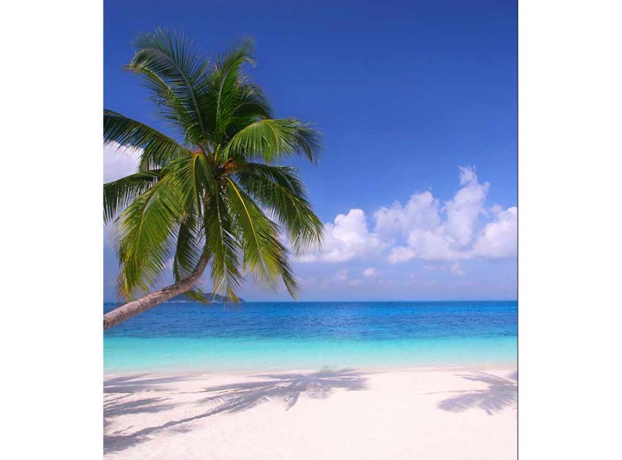 Flis foto tapeta Plaža sa palmama MS30194 | 225x250 cm - Od flisa