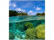 Flis foto tapeta Koraljni greben MS30200 | 225x250 cm Od flisa