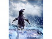 Flis foto tapeta Pingvin MS30219 | 225x250 cm Od flisa