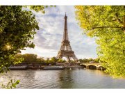 Flis foto tapeta Seina u Parizu MS50028 | 375x250 cm Od flisa