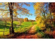 Flis foto tapeta Livada MS50066 | 375x250 cm Od flisa