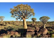 Flis foto tapeta Namibija MS50103 | 375x250 cm Od flisa
