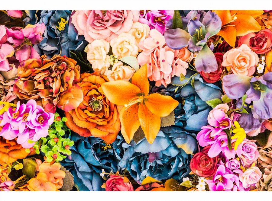 Flis foto tapeta Osušeno cvijeće MS50143 | 375x250 cm - Od flisa