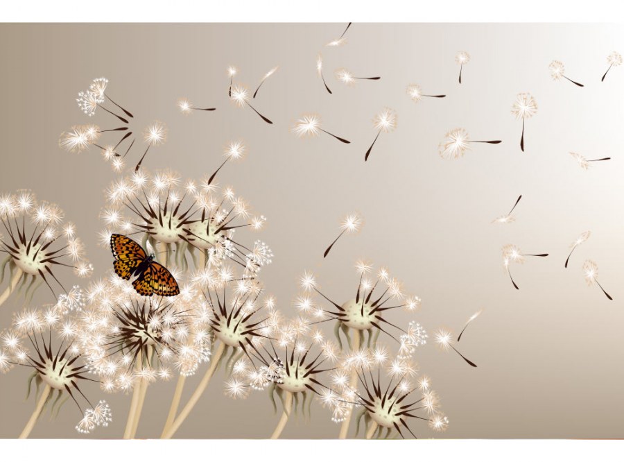 Flis foto tapeta Maslačak i leptir MS50148 | 375x250 cm - Od flisa