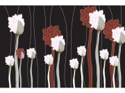 Flis foto tapeta Cvijeće na crnoj pozadini MS50155 | 375x250 cm Od flisa