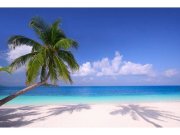 Flis foto tapeta Plaža sa palmama MS50194 | 375x250 cm Od flisa