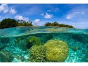 Flis foto tapeta Koraljni greben MS50200 | 375x250 cm Od flisa
