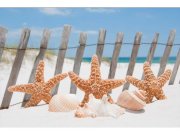 Flis foto tapeta Zvjezdice na plaži MS50206 | 375x250 cm Od flisa