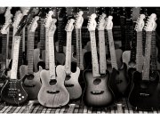 Flis foto tapeta Kolekcija gitara MS50303 | 375x250 cm Od flisa