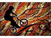 Flis foto tapeta Crveni bicikl MS50327 | 375x250 cm Od flisa