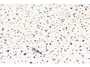 Samoljepljiva folija Terrazzo neo 200-8347 d-c-fix, širina 67,5 cm