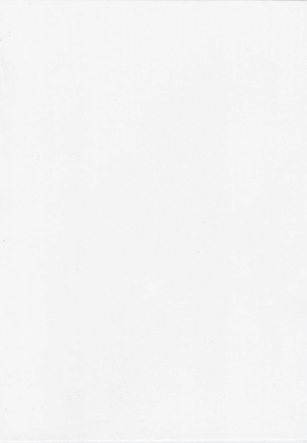 Samoljepljiva folija za vrata Bijelo drvo Memphis 99-6275 | 2,1 m x 90 cm - Za vrata