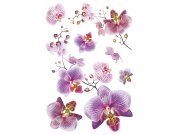 Samoljepljiva dekoracija OrhidejaSM-3440, dimenzije 42,5 x 65 cm Naljepnice zidne