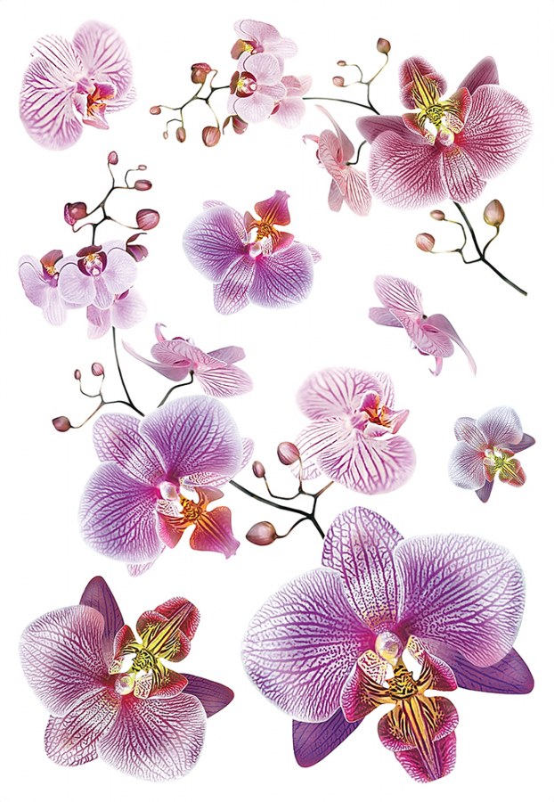 Samoljepljiva dekoracija OrhidejaSM-3440, dimenzije 42,5 x 65 cm - Naljepnice zidne