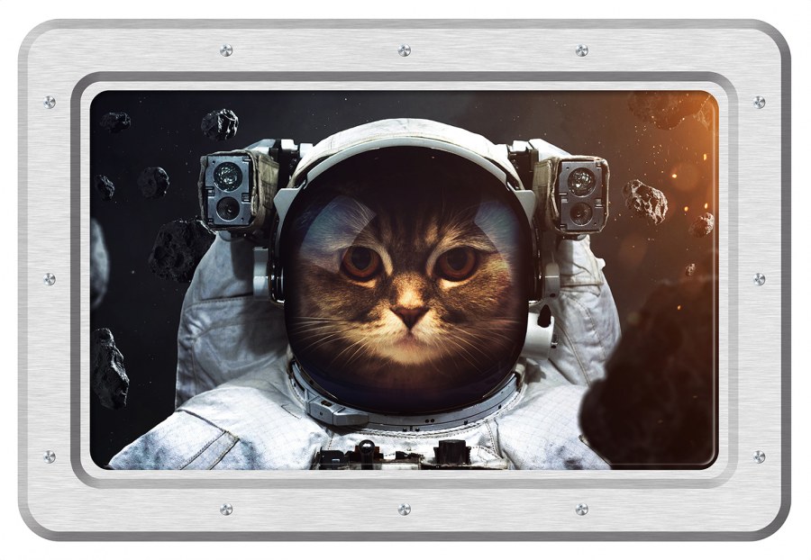 Samoljepljiva dekoracija Mačka astronaut SM-3443, dimenzije 42,5 x 65 cm - Naljepnice zidne