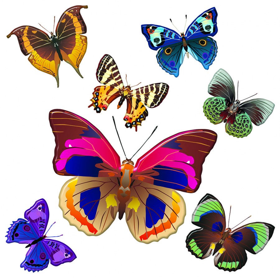 Samoljepljiva dekoracija Šareni leptiri SS-3854, 30x30 cm - Naljepnice zidne