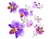 Samoljepljiva dekoracija Orhideja SS-3859, 30x30 cm Naljepnice zidne