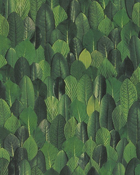 Flis tapeta za zid lišće Imagine 31735 | Ljepilo besplatno - Marburg