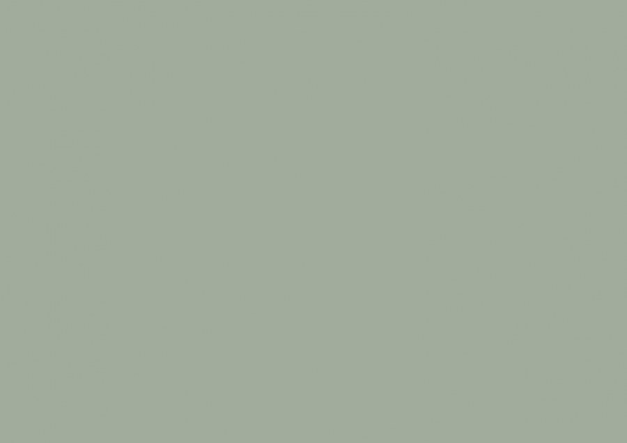 Samoljepljiva folija Zelenosiva mat 200-3261 d-c-fix, širina 45 cm - U boji