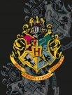 HALANTEX pokrivač od flisa Harry Potter poliester, 130/170 cm