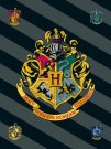 JERRY TKANINE Deka od flisa Harry Potter HP067 Poliester, 100/150 cm
