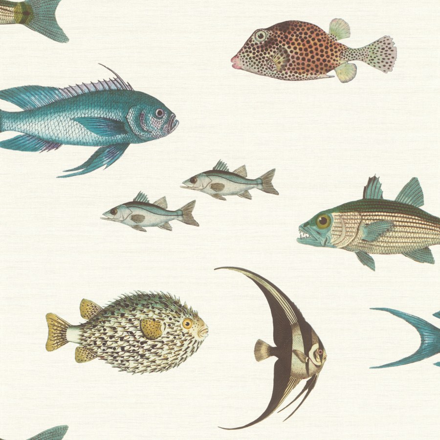 Dječja flis tapeta ribe Stories 553529 | Ljepilo besplatno - Rasch