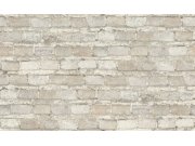 Flis tapeta za zid Factory style 969504 | Ljepilo besplatno Rasch