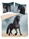 DETEXPOL francuska posteljina Black Horse Cotton, 220/200, 2x70/80 cm Posteljina foto print