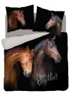 DETEXPOL Francuska posteljina Konji Sretni zajedno Pamuk, 220/200, 2x70/80 cm Posteljina foto print