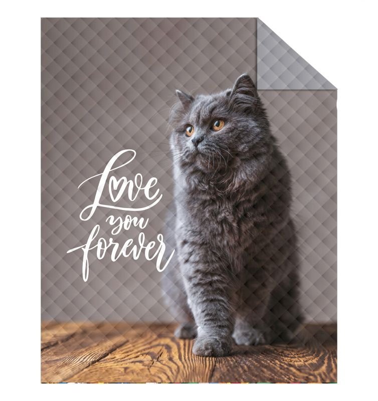 DETEXPOL Prekrivač Cat Love Poliester, 170/210 cm - Pokrivači