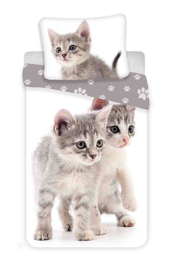 Posteljina foto print Kitten siva 140x200, 70x90 cm - Dječja posteljina Fototisak