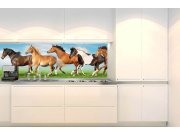 Samoljepljiva fototapeta za kuhinju KI-180-111 Stado konja | 180 x 60 cm Samoljepljive - Za kuhinje