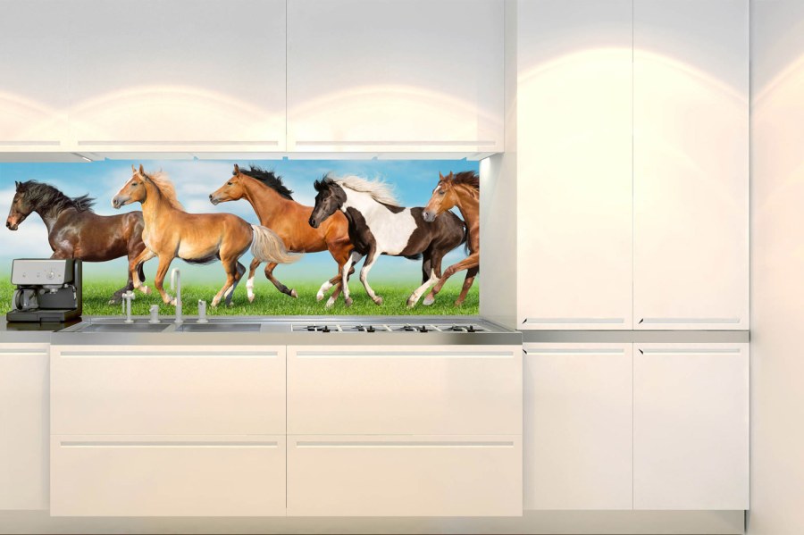 Samoljepljiva fototapeta za kuhinju KI-180-111 Stado konja | 180 x 60 cm