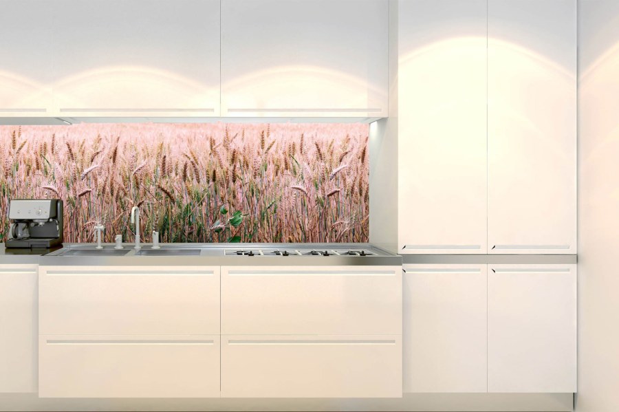 Samoljepljiva fototapeta za kuhinju KI-180-136 Polje pšenice | 180 x 60 cm - Za kuhinje