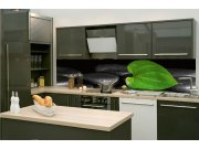 Samoljepljiva fototapeta za kuhinju KI-260-169 Zelena list | 260 x 60 cm