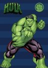 FARO Flis deka Avengers Hulk Poliester, 100/140 cm Deke i vreće za spavanje - deke od flisa