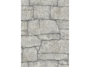 Tapete za zid Moneta 901693 | Ljepilo besplatno Na zalihama