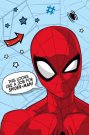 JERRY FABRICS Mikroflanel deka Spiderman Polyester, 100/150 cm Deke i vreće za spavanje - mikro deke