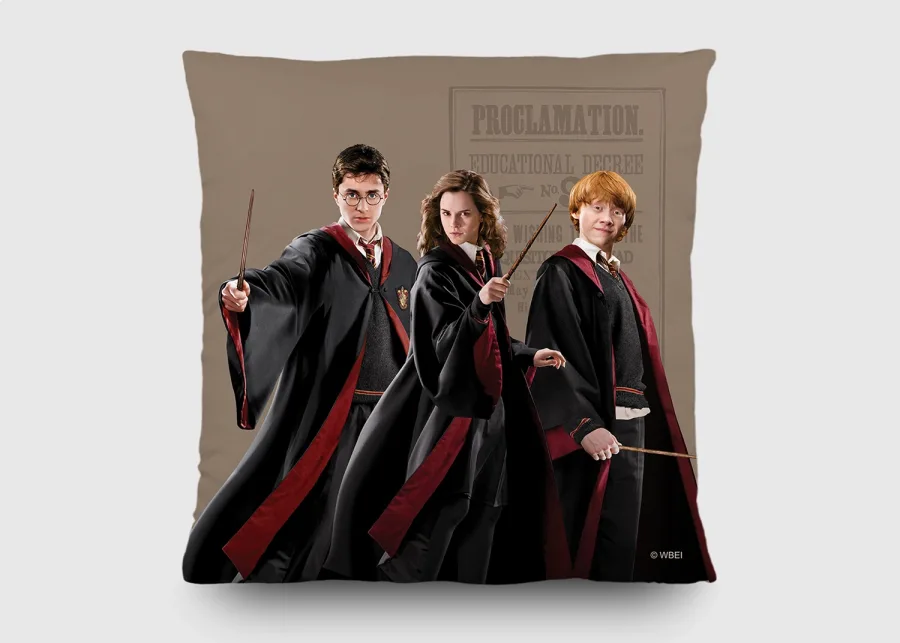 Dekorativni jastuk Harry Potter CND3155 | 40 x 40 cm - Dekoriativni jastuci