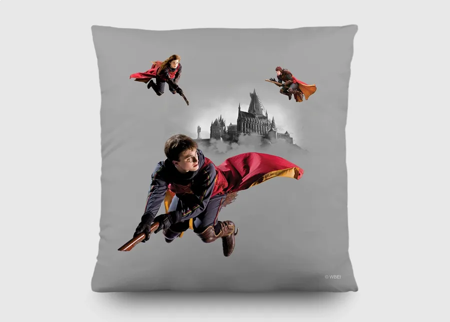 Dekorativni jastuk Harry Potter CND3157 | 40 x 40 cm - Dekoriativni jastuci