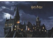 Dječja fototapeta Harry Potter FTDXL1965 | 252 x 182 cm