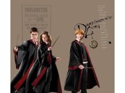 Foto zavjese Harry Potter FCSXL6607 | 180 x 160